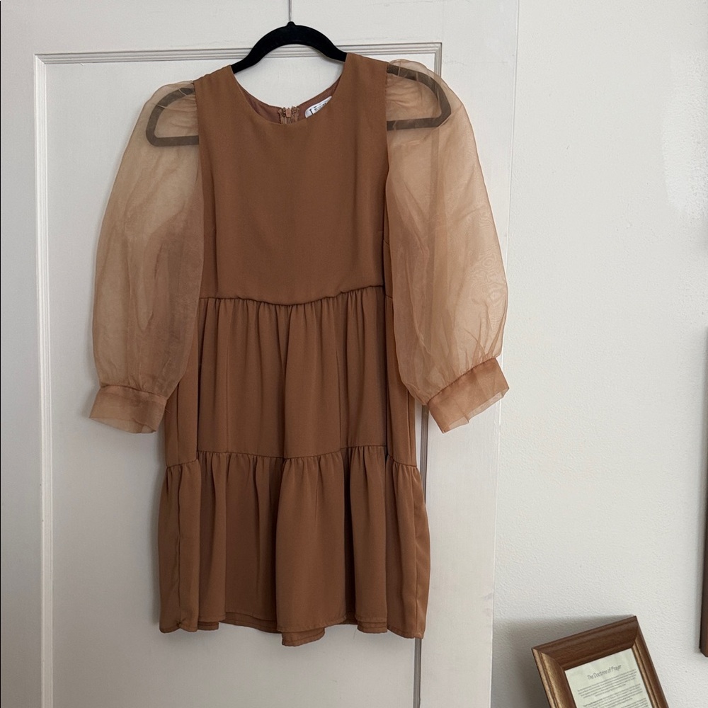 TCEC Brown Sheer Puff Sleeve Blouse